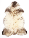 MR00035