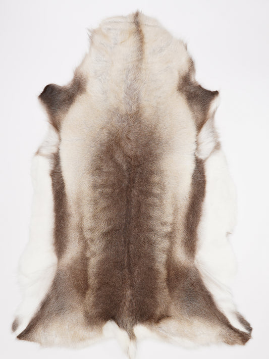 OX00029
