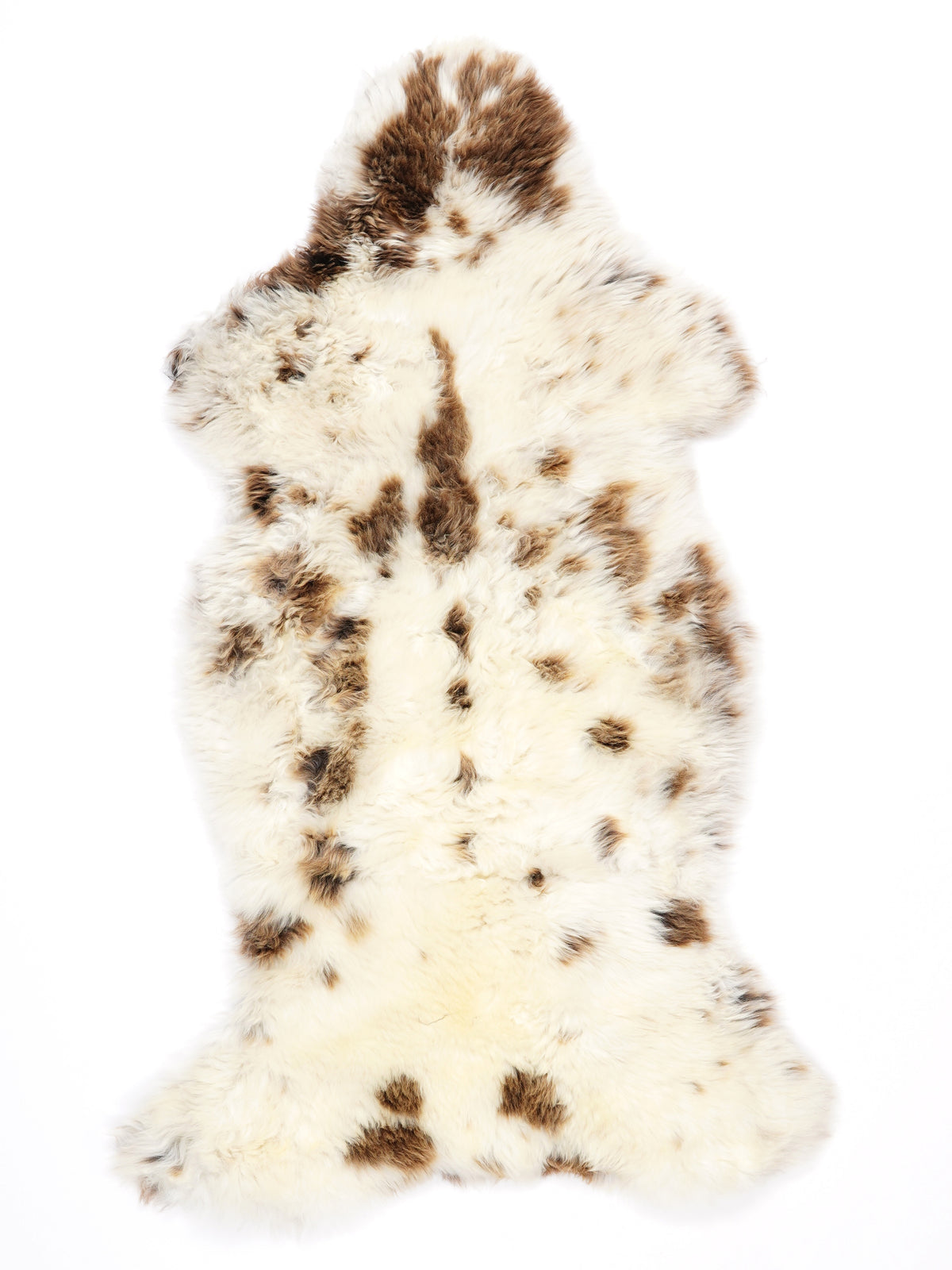 MZ00026