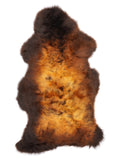 NA00041