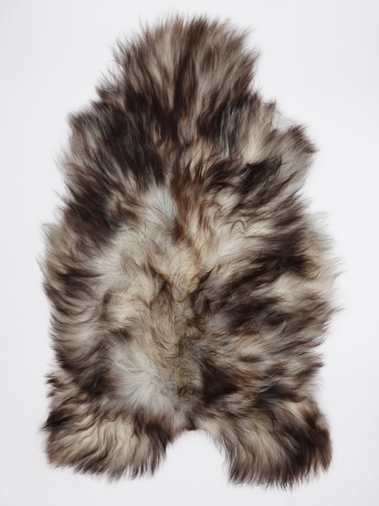 OF00015