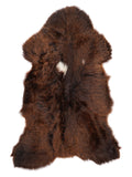 NS00051