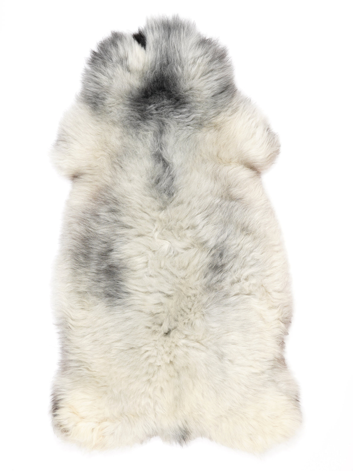 NC00029