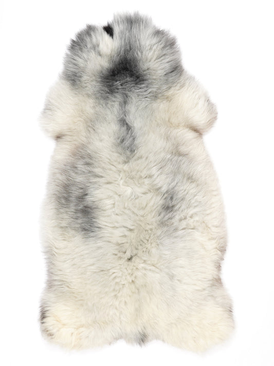 NC00029