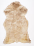 NE00061