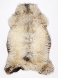 OA00095