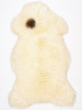 NE00051