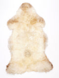 NL00090