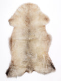 MV00016
