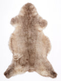 MV00029
