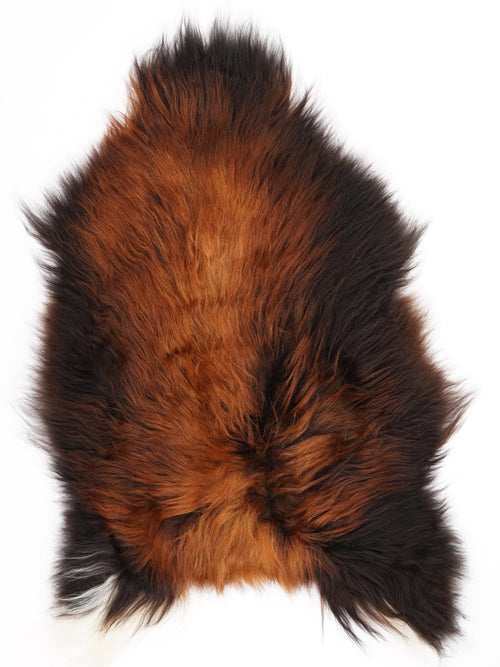 Ijslandse Schapenvacht XL