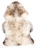 Meerkleurige Schapenvacht XXL