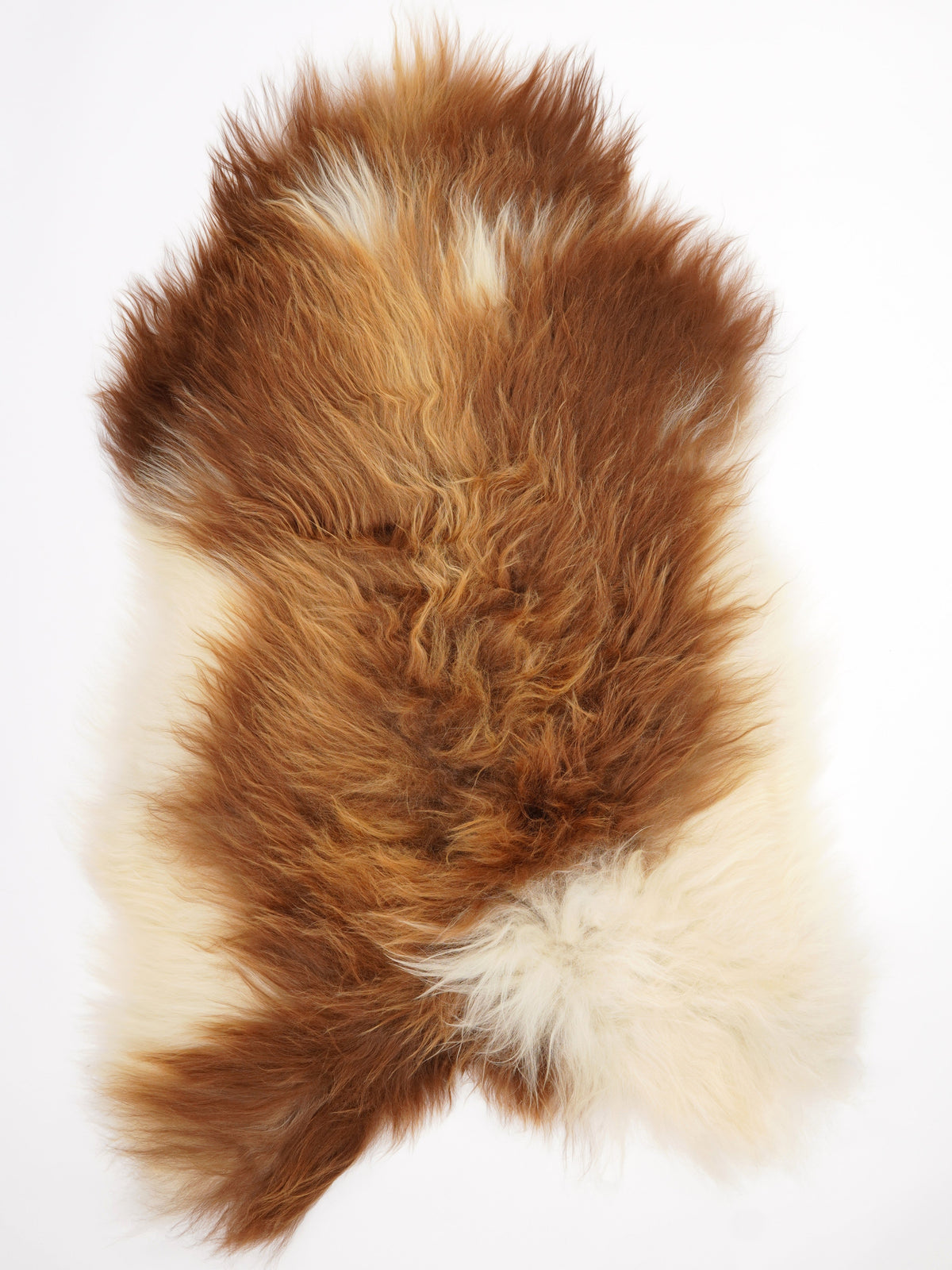 IJslandse Schapenvacht XL