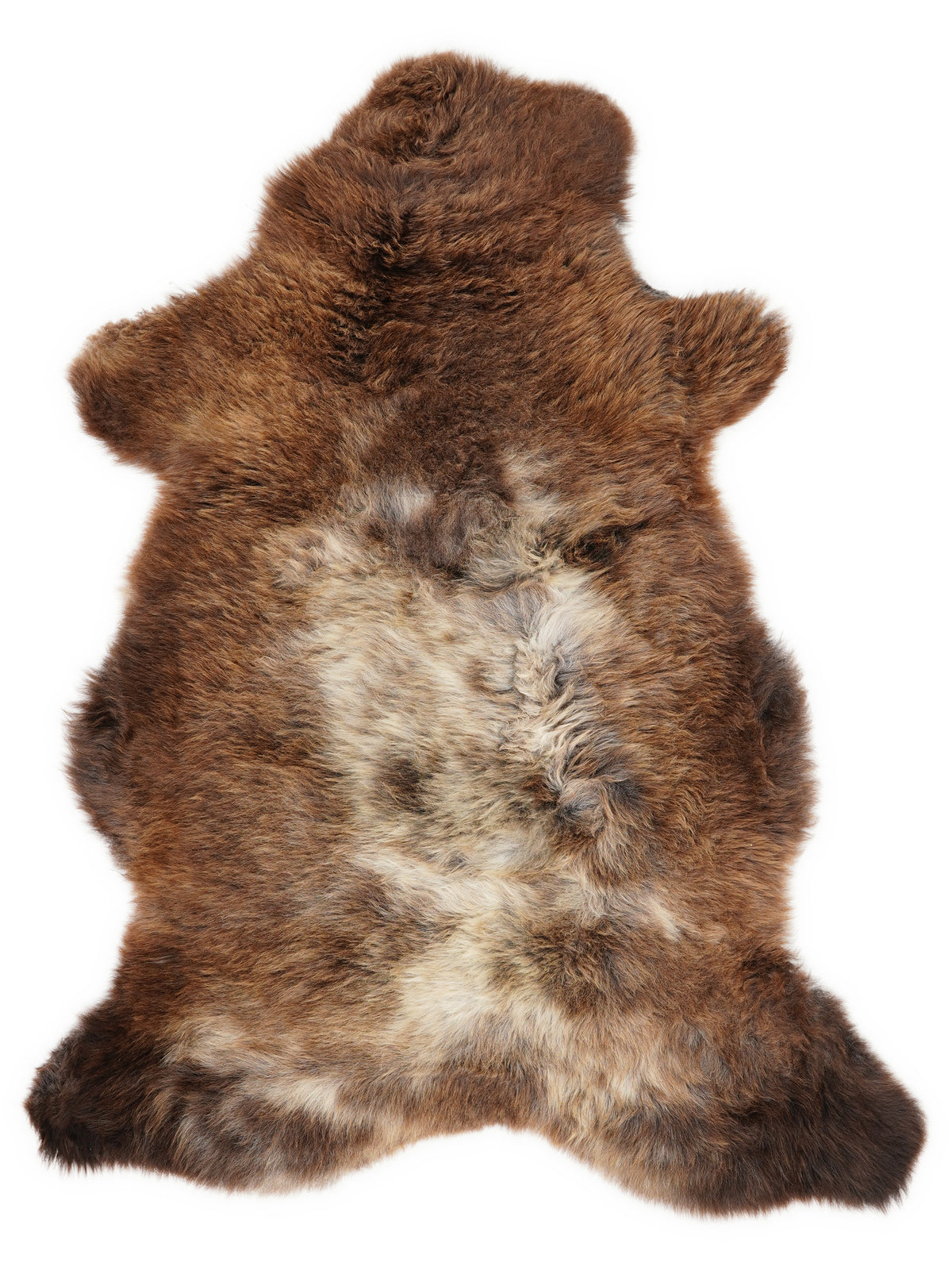 Britse meerkleurige schapenvacht, ongeveer 110 × 65 cm, van bovenaf gezien: precies de vacht die je ontvangt
