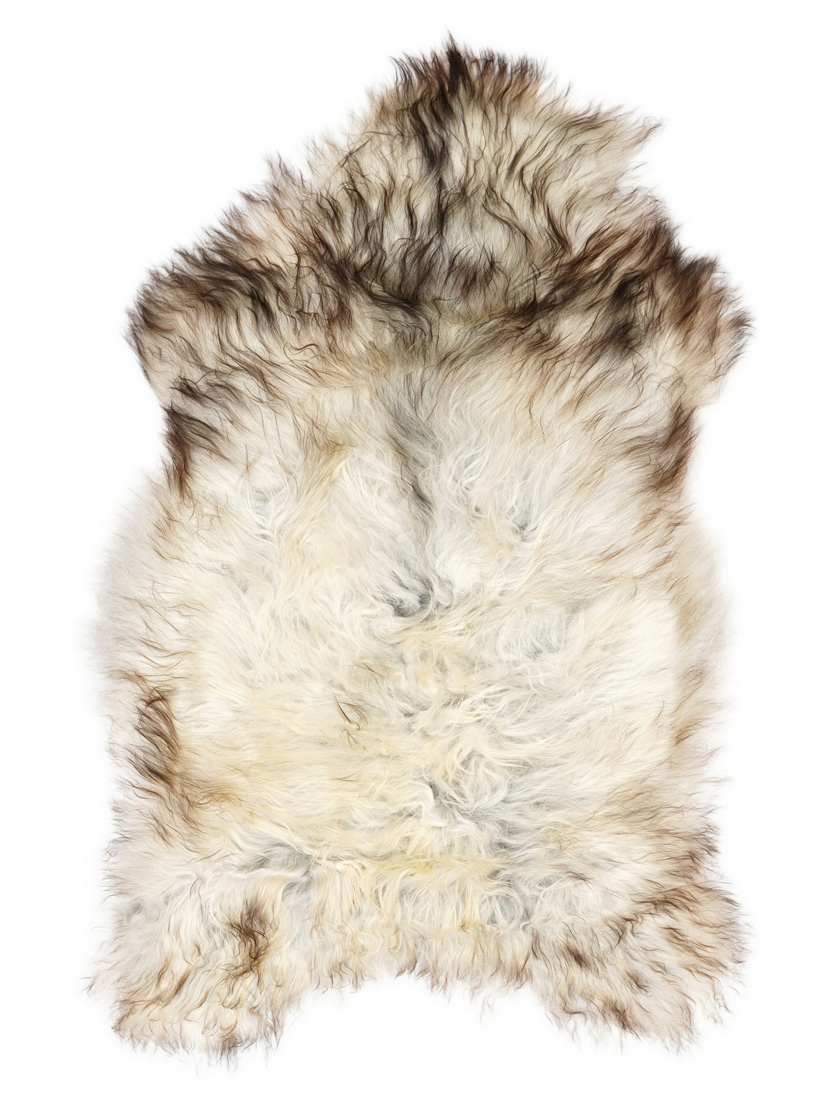 Grijze IJslandse schapenvacht, ongeveer 110 × 70 cm, van bovenaf gezien: precies de vacht die je ontvangt