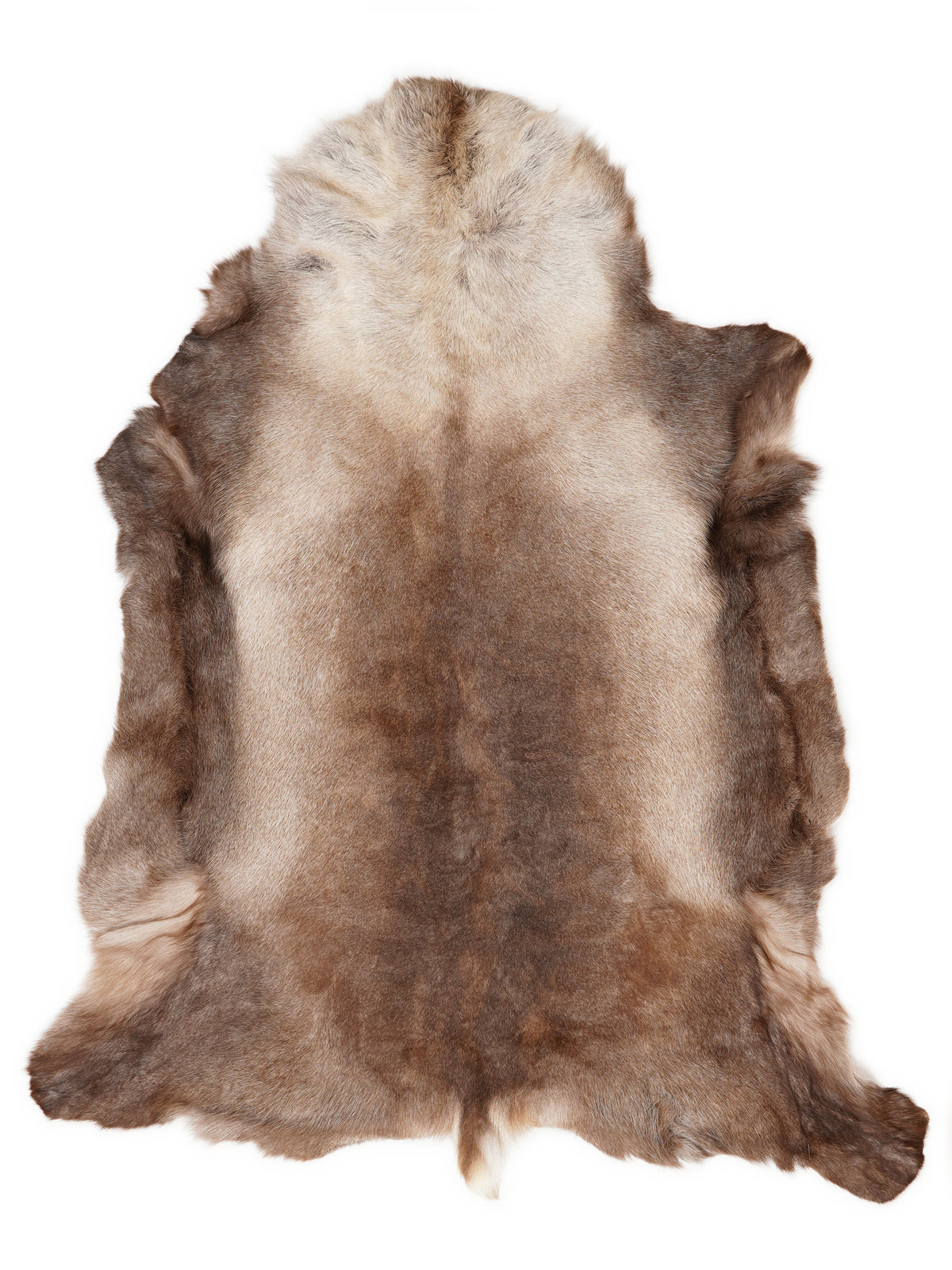 Rendierhuid, ongeveer 140 × 115 cm, van bovenaf gezien: precies de huid die je ontvangt