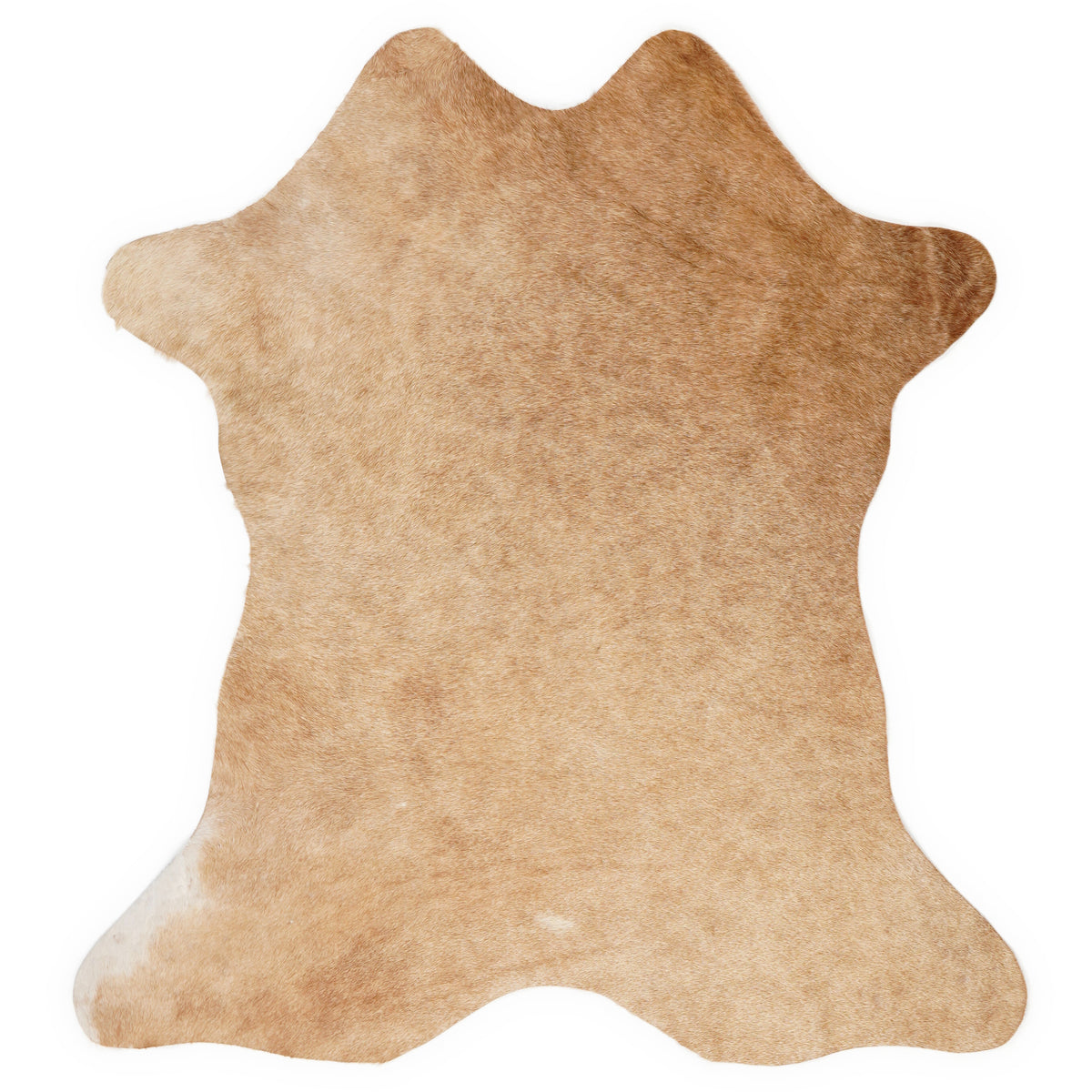 Mini koeienhuid, ongeveer 70 × 70 cm, van bovenaf gezien: precies de huid die je ontvangt