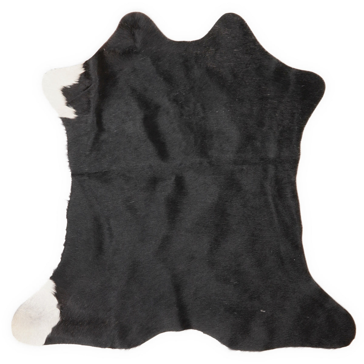 Mini koeienhuid, ongeveer 70 × 70 cm, van bovenaf gezien: precies de huid die je ontvangt