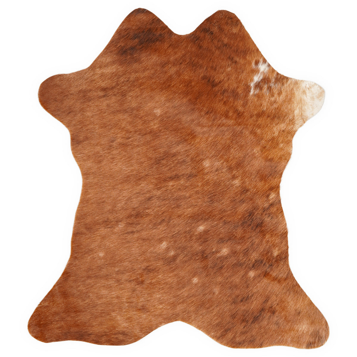 Mini koeienhuid, ongeveer 70 × 70 cm, van bovenaf gezien: precies de huid die je ontvangt