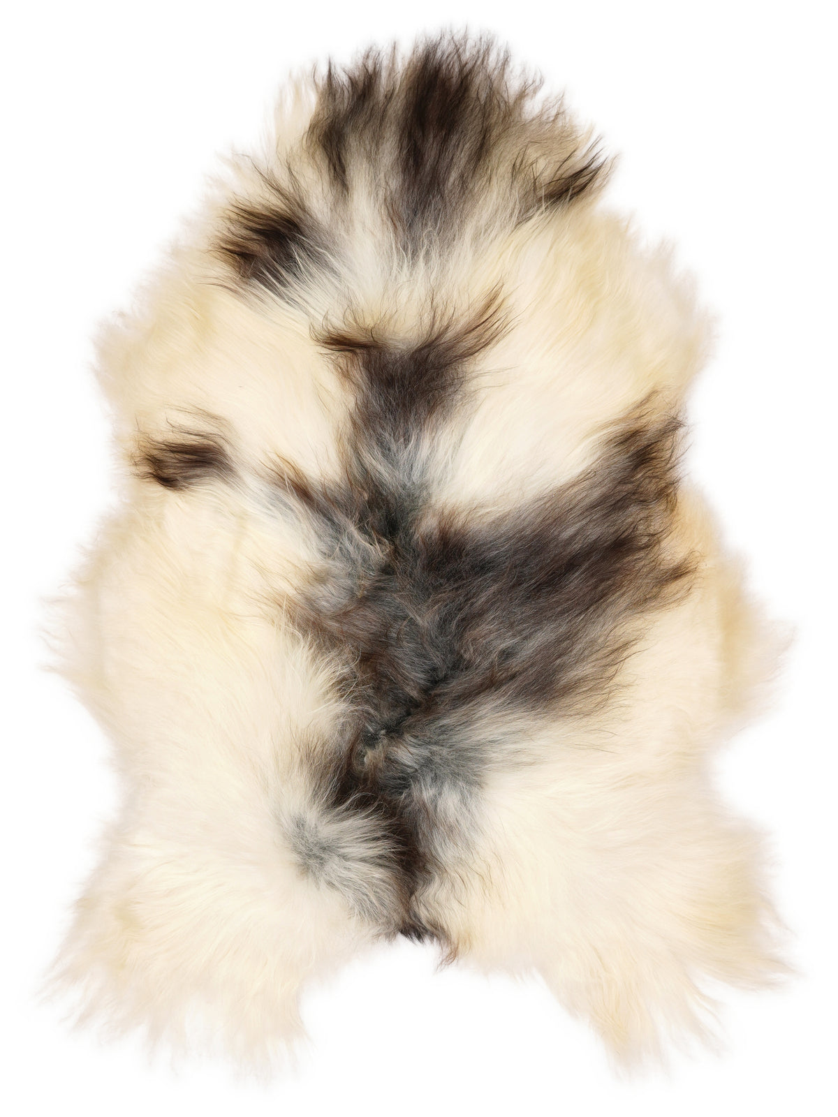 IJslandse meerkleurige schapenvacht, ongeveer 120 × 80 cm, van bovenaf gezien: precies de vacht die je ontvangt
