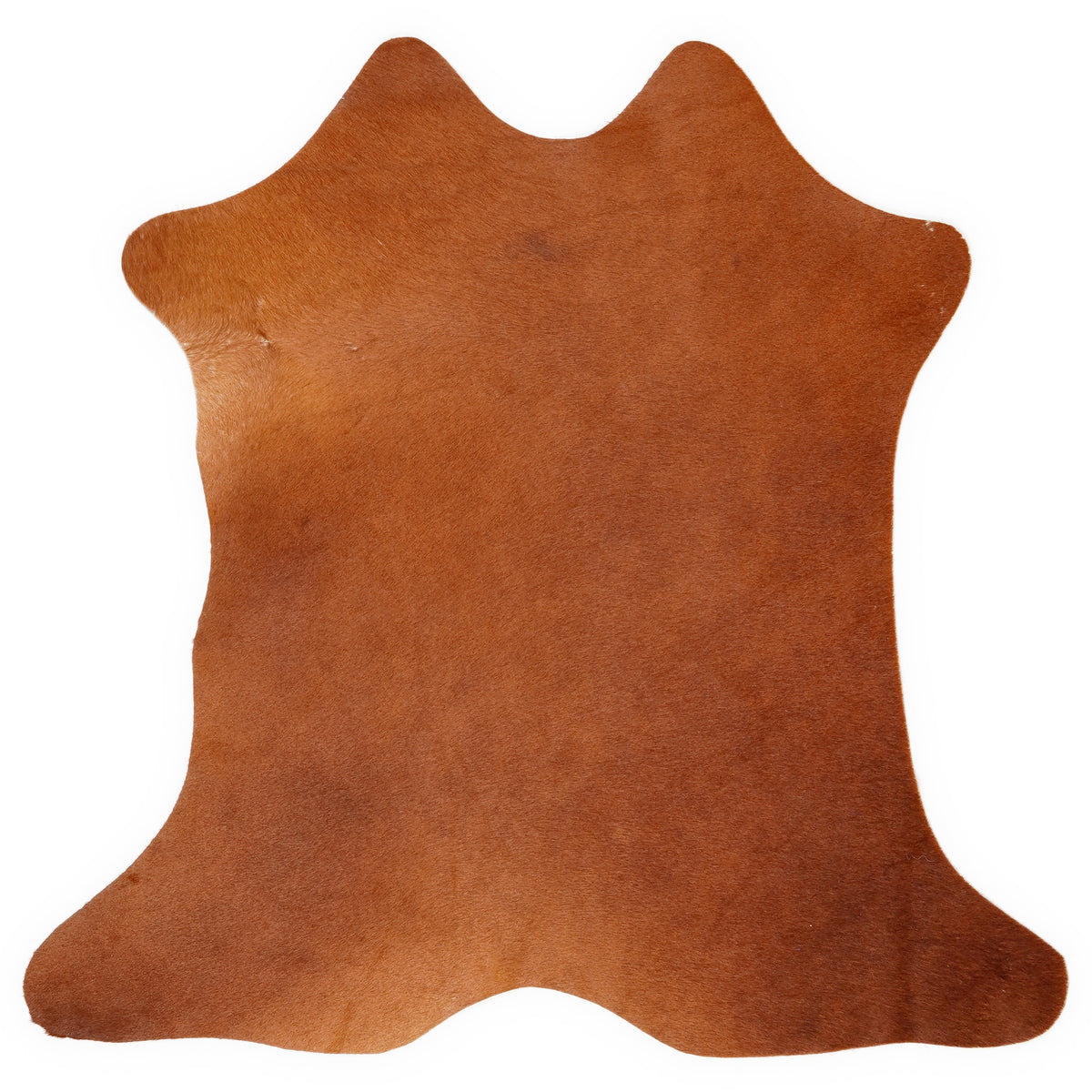 Mini koeienhuid, ongeveer 70 × 70 cm, van bovenaf gezien: precies de huid die je ontvangt