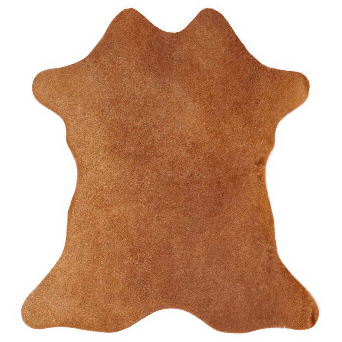 Mini koeienhuid, ongeveer 70 × 70 cm, van bovenaf gezien: precies de huid die je ontvangt
