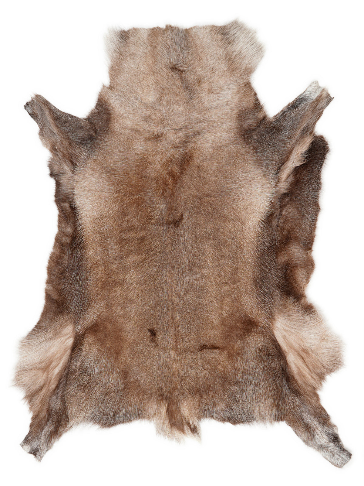 Rendierhuid, ongeveer 140 × 115 cm, van bovenaf gezien: precies de huid die je ontvangt