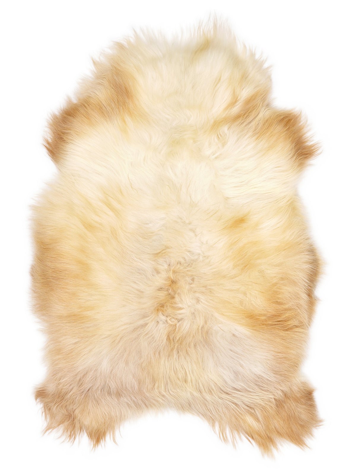 IJslandse meerkleurige schapenvacht, ongeveer 110 × 70 cm, van bovenaf gezien: precies de vacht die je ontvangt