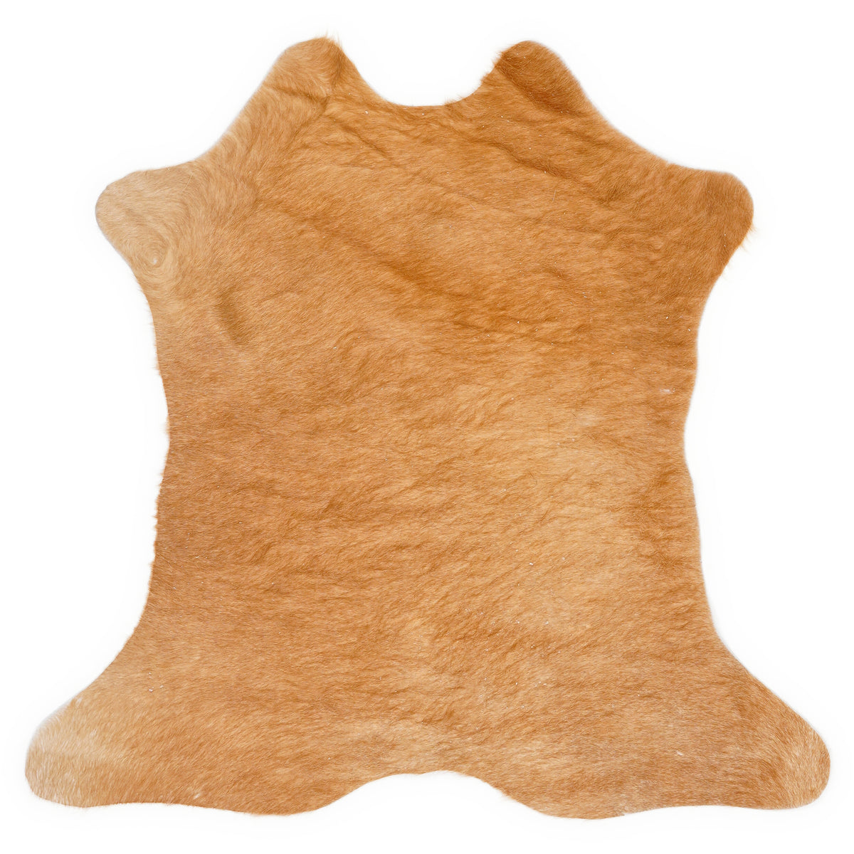 Mini koeienhuid, ongeveer 70 × 70 cm, van bovenaf gezien: precies de huid die je ontvangt