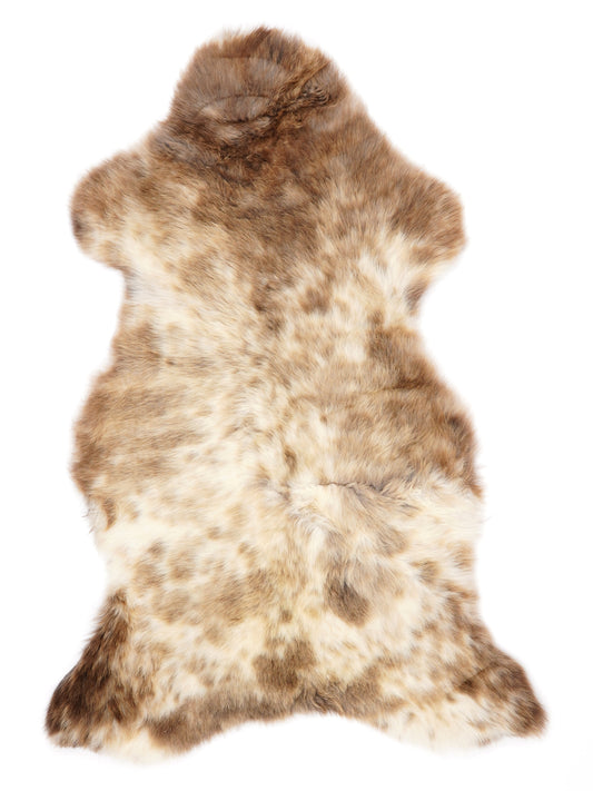 NR00099