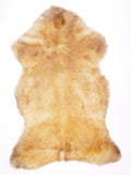 NJ00091