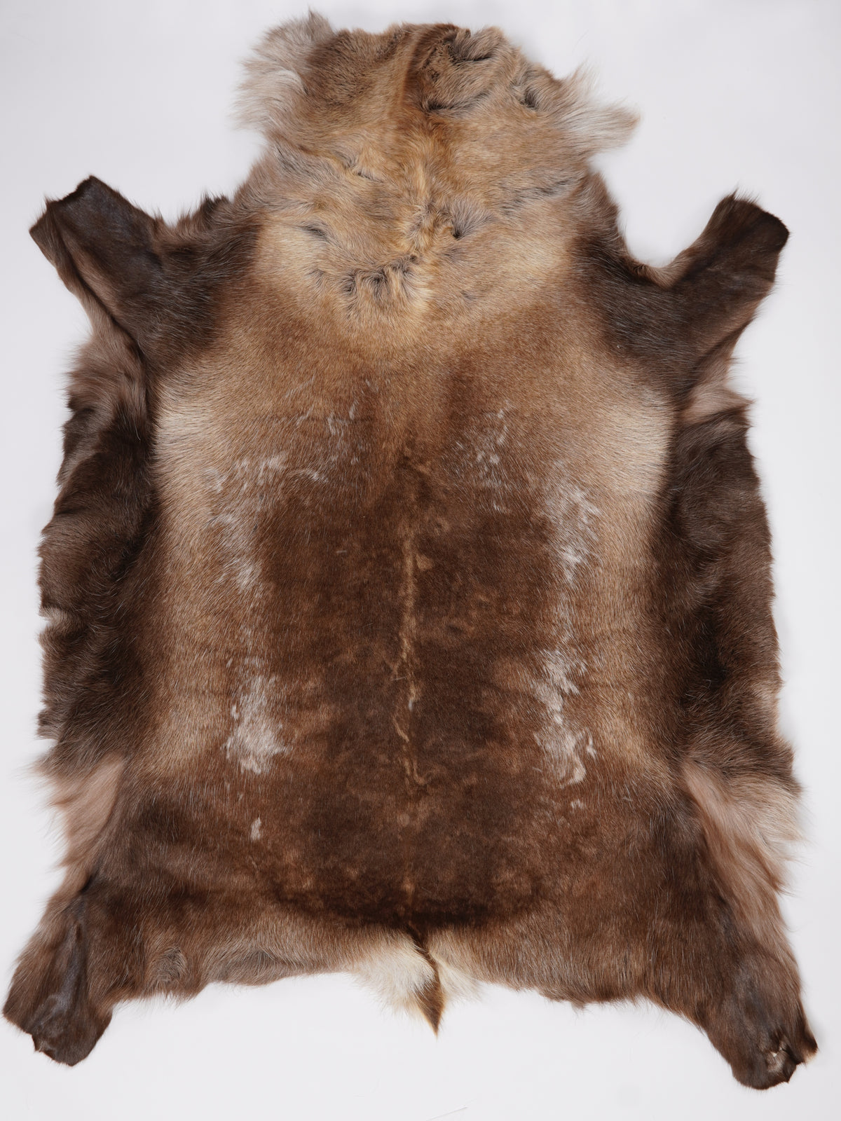 OF00032