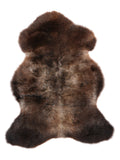 NF00095