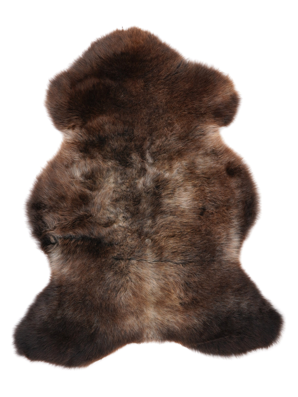 NF00095