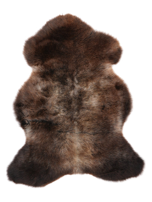 NF00095