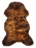 NG00038