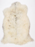 NR00079