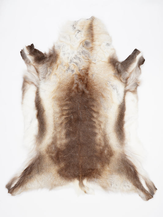 OF00037