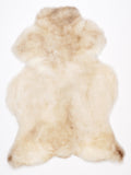 NE00067