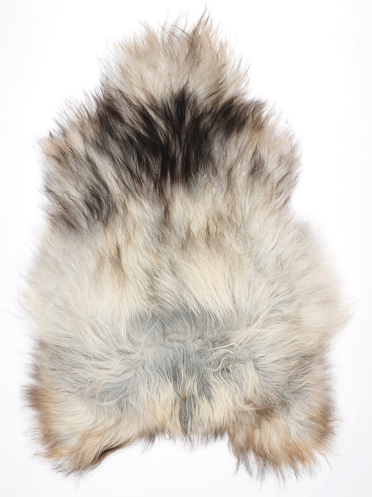 MP00065