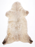 MV00027