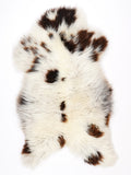 NR00047