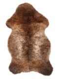 NF00091