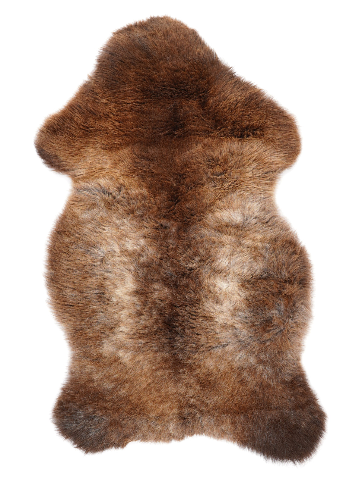 NF00091