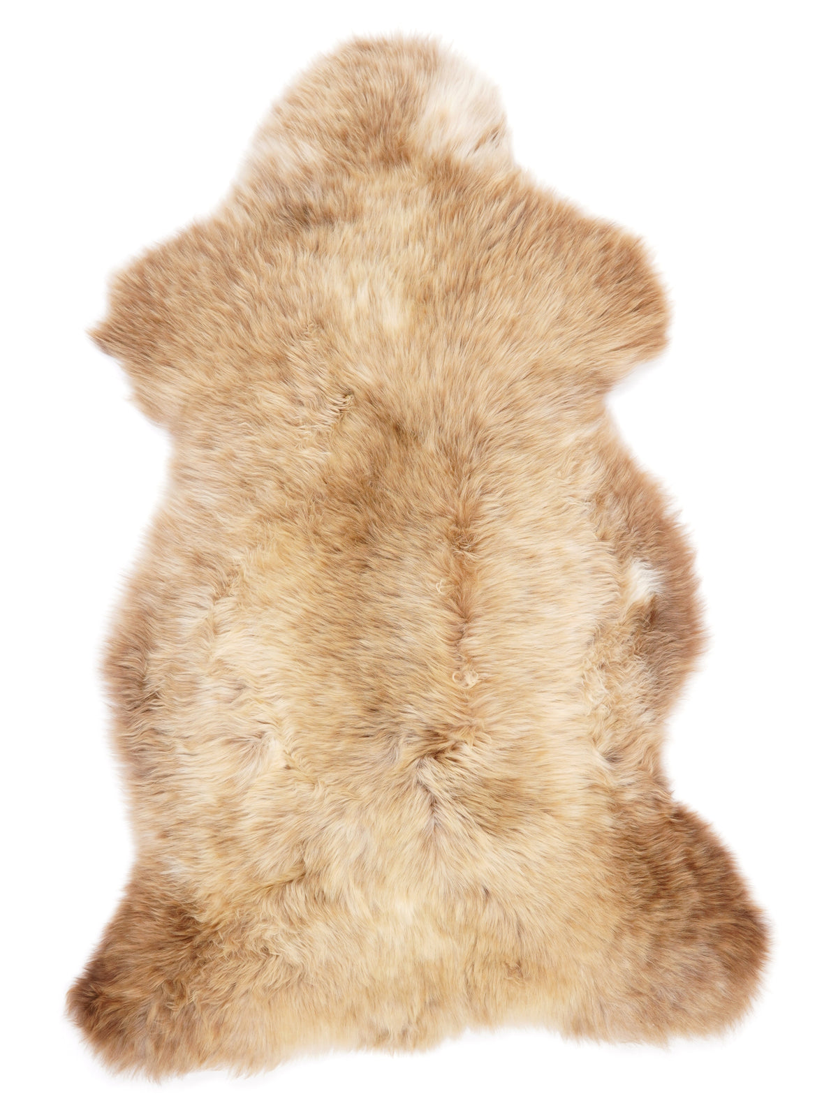 MV00044