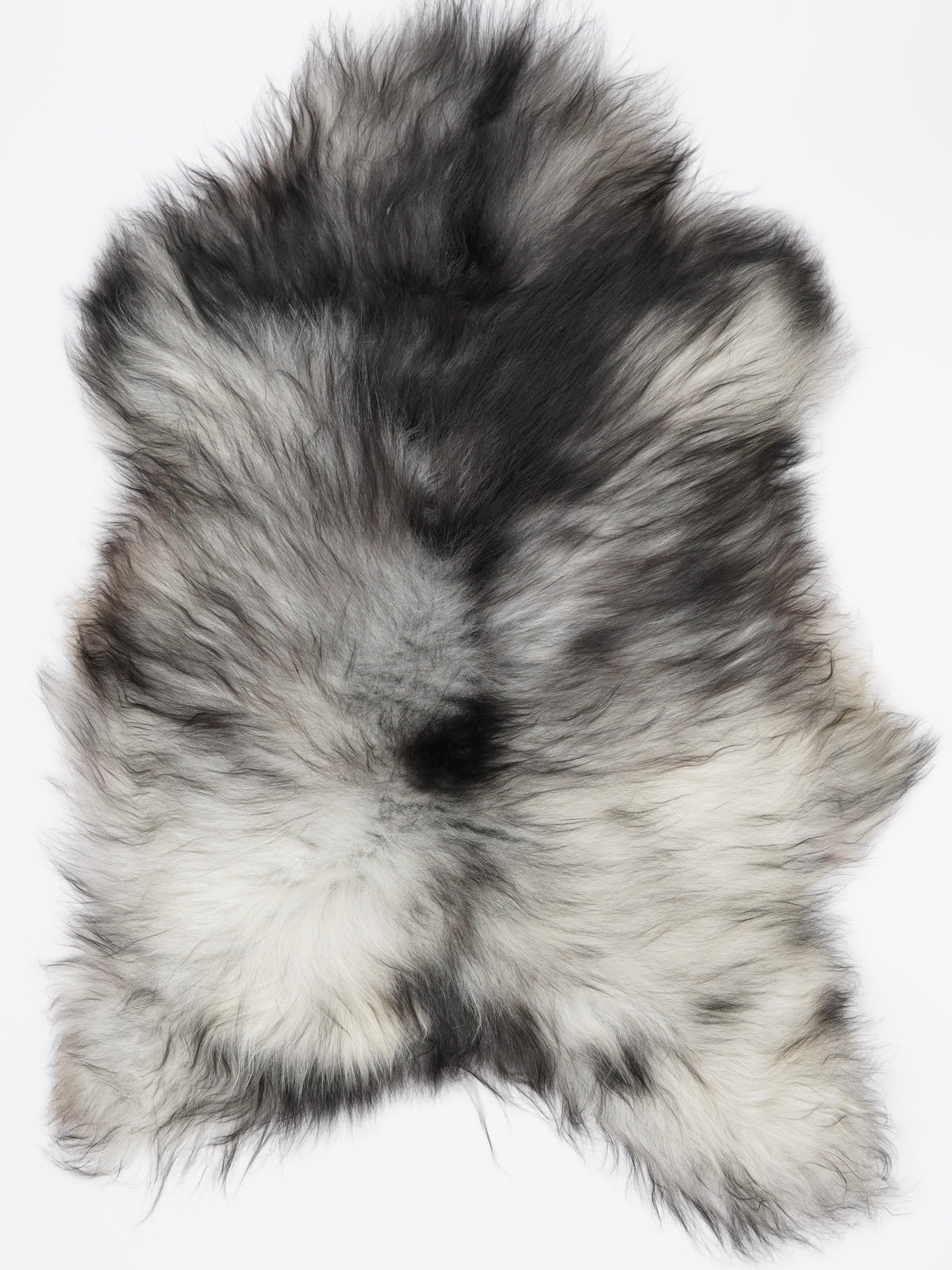 OI00080