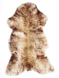 NH00040
