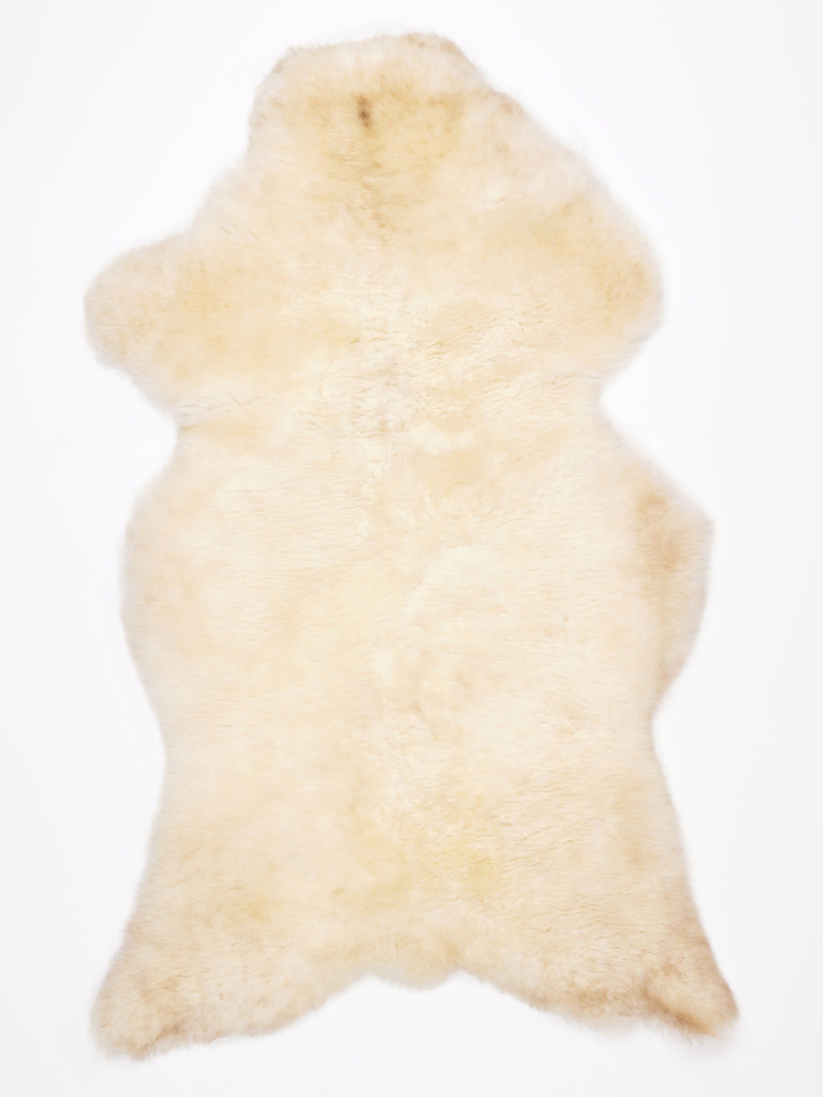 NF00100