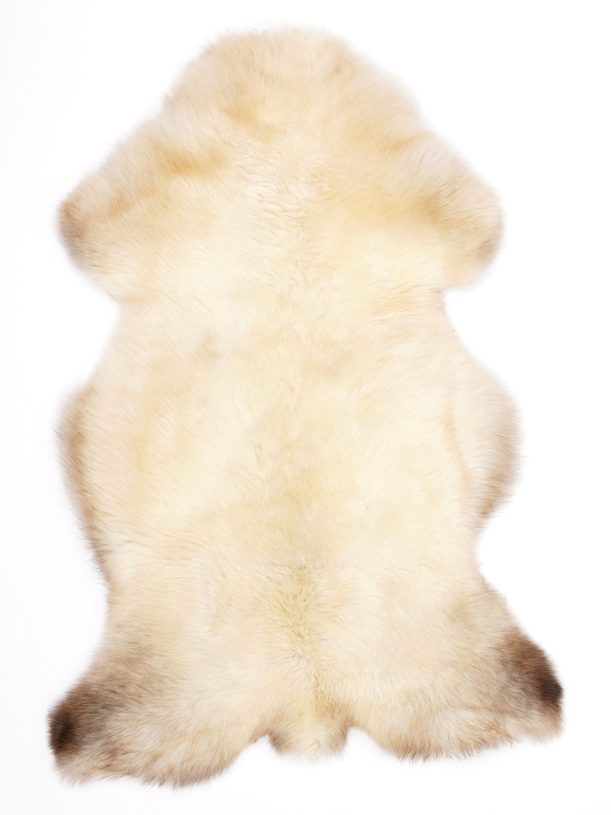 MR00024
