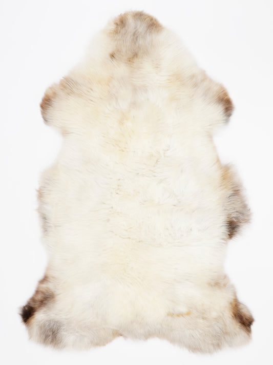 OK00095